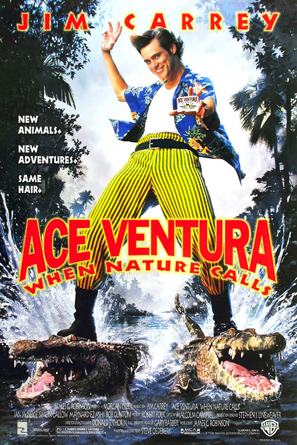 Ace Ventura: Thiên nhiên vẫy gọi - Ace Ventura: Thiên nhiên vẫy gọi
