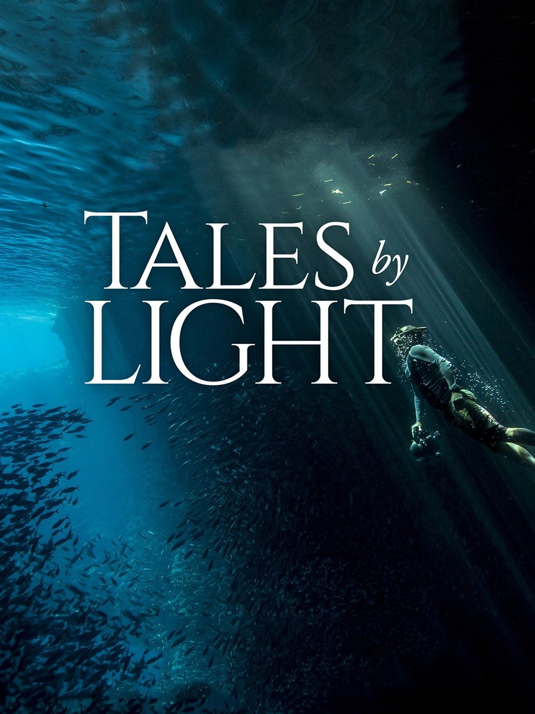Câu chuyện kể bằng ánh sáng - Câu chuyện kể bằng ánh sáng (2015)