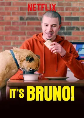 Chú chó Bruno - Chú chó Bruno