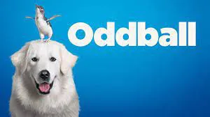 Chú Chó OddBall - Chú Chó OddBall