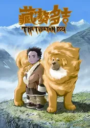 Chú Chó Tây Tạng - Chú Chó Tây Tạng