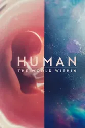 Con người: Thế giới bên trong cơ thể - Con người: Thế giới bên trong cơ thể (2021)