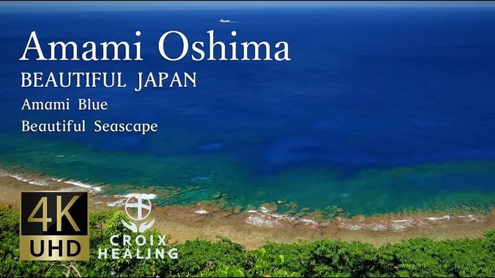 Đảo Amami Oshima - Đảo Amami Oshima