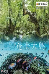 Đảo Amami Oshima - Đảo Amami Oshima (2020)