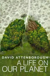 David Attenborough: Một cuộc đời trên Trái Đất - David Attenborough: Một cuộc đời trên Trái Đất