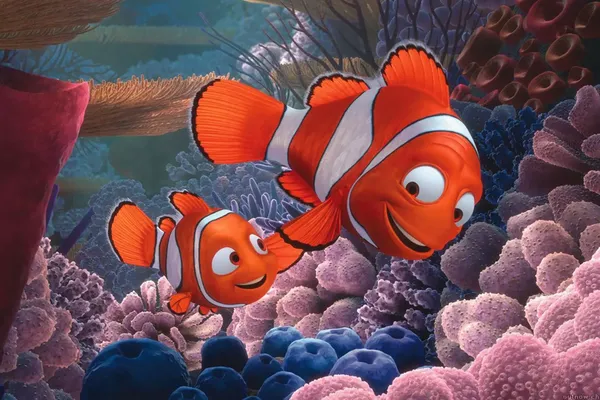 Đi Tìm Nemo - Đi Tìm Nemo