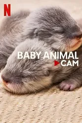 Động vật bé cưng trên camera - Động vật bé cưng trên camera (2023)
