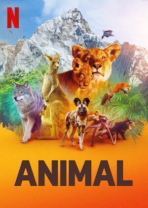 Động vật (Phần 1) - Động vật (Phần 1) (2021)