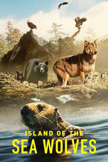 Hòn đảo của sói biển - Hòn đảo của sói biển