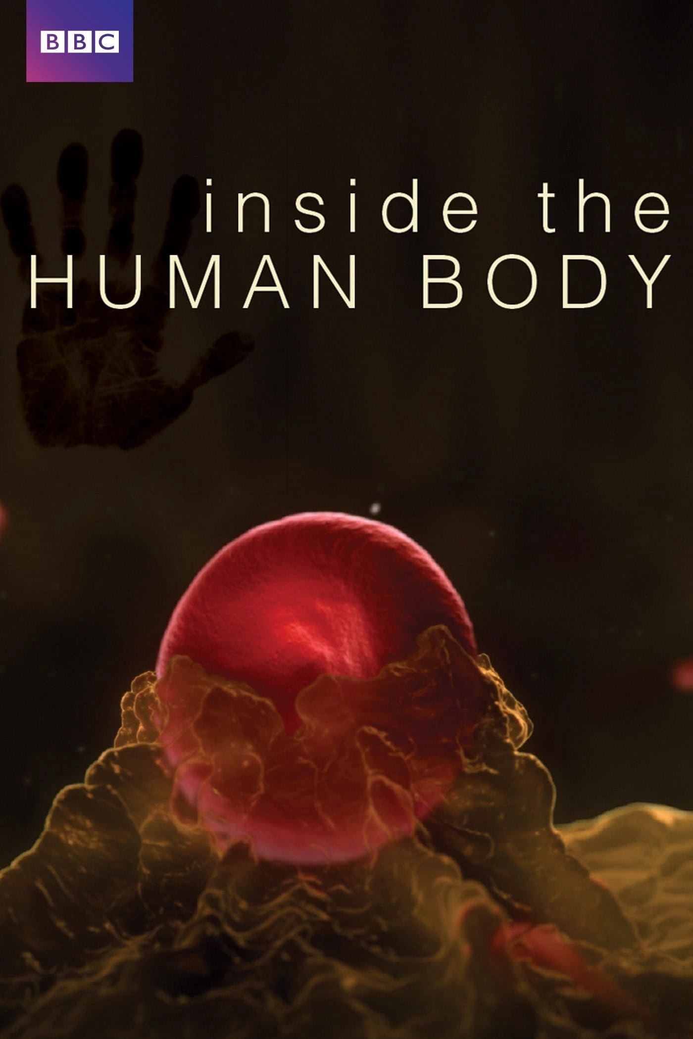 Inside the Human Body - Inside the Human Body (2011)