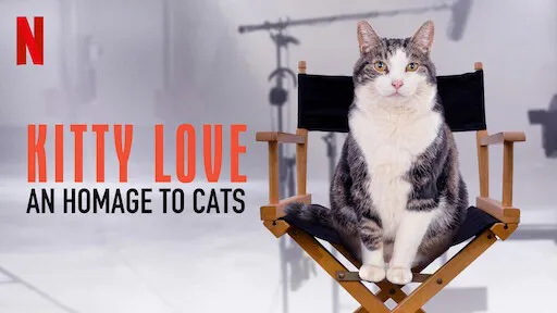 Kitty Love: Mèo cưng nhà mình - Kitty Love: Mèo cưng nhà mình