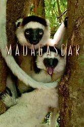Madagascar 2011 - Madagascar 2011 (2011)