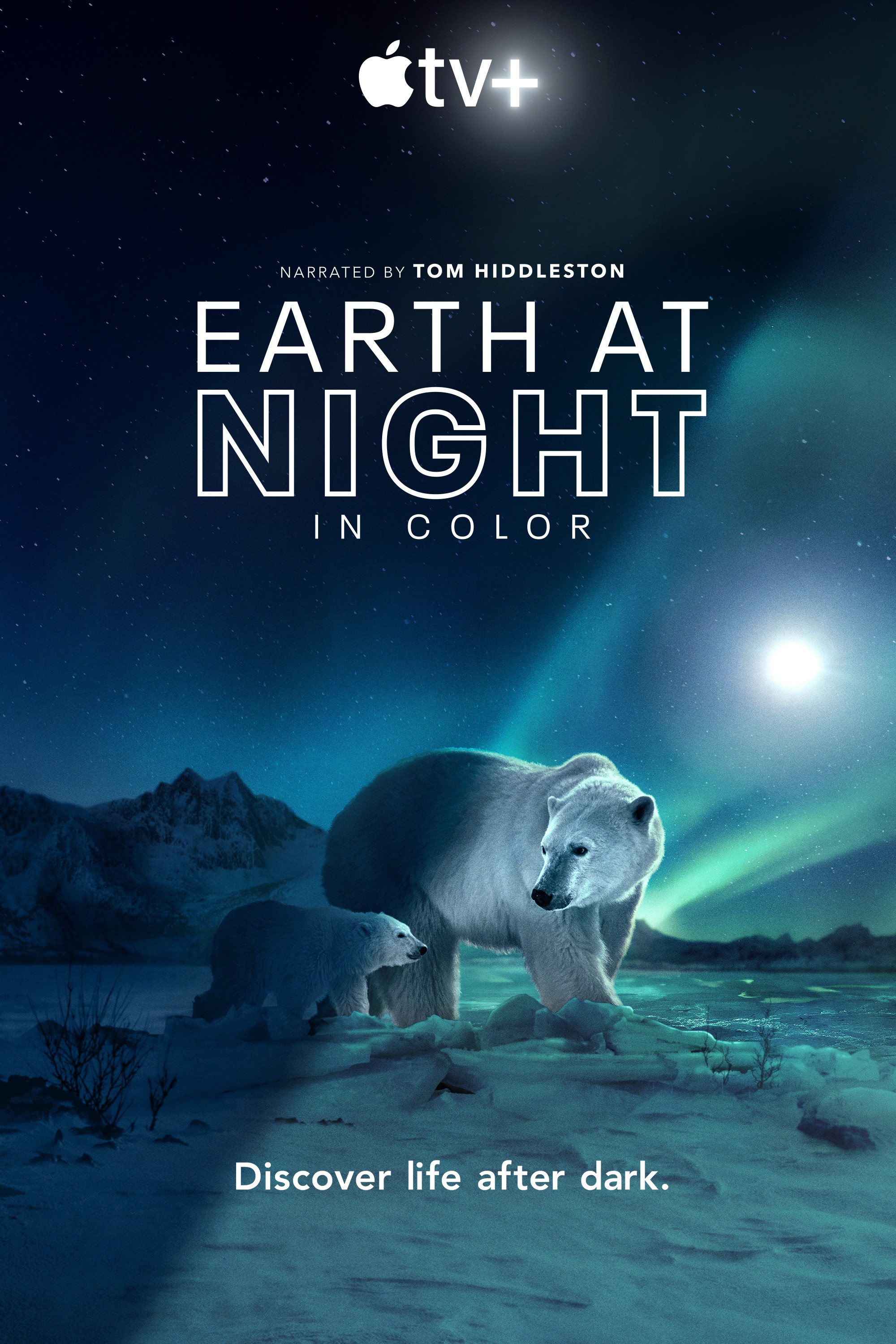 Màn đêm trên Trái Đất: Thước phim trong bóng tối - Màn đêm trên Trái Đất: Thước phim trong bóng tối (2020)