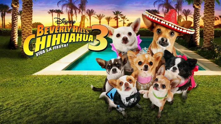 Những Chú Chó Chihuahua 3 - Những Chú Chó Chihuahua 3