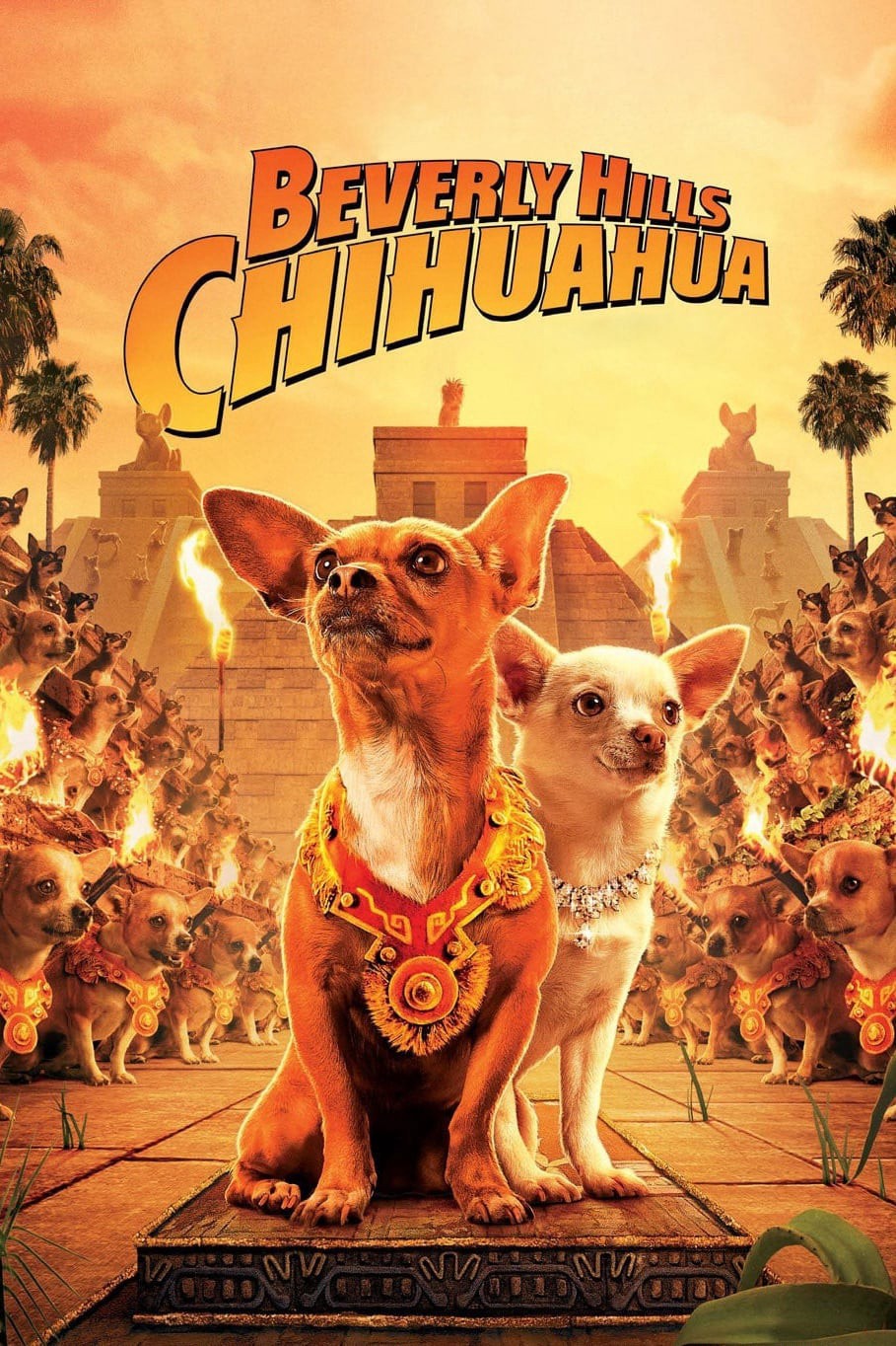 Những Chú Chó Chihuahua - Những Chú Chó Chihuahua (2008)