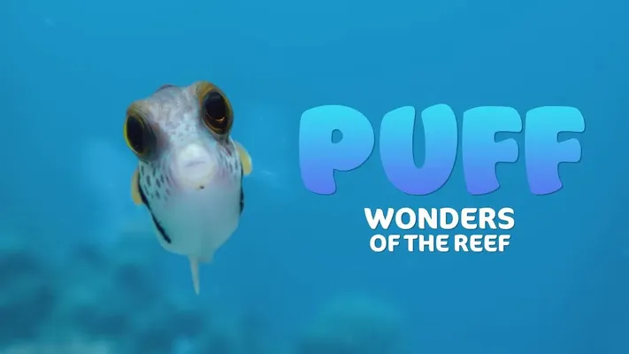Puff: Rạn san hô kỳ diệu - Puff: Rạn san hô kỳ diệu
