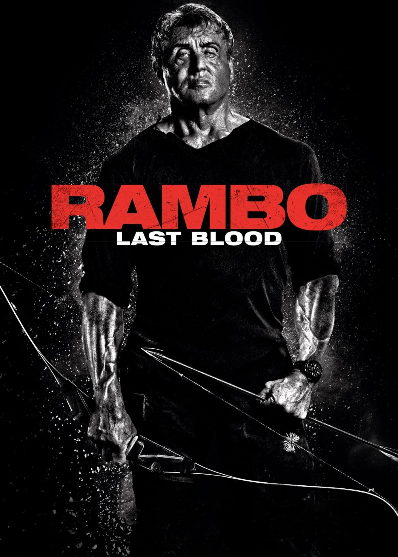 Rambo: Hồi Kết Đẫm Máu - Rambo: Hồi Kết Đẫm Máu (2019)