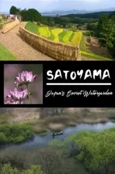 SATOYAMA: Khu Vườn Thủy Sinh Tuyệt Vời - SATOYAMA: Khu Vườn Thủy Sinh Tuyệt Vời (2004)