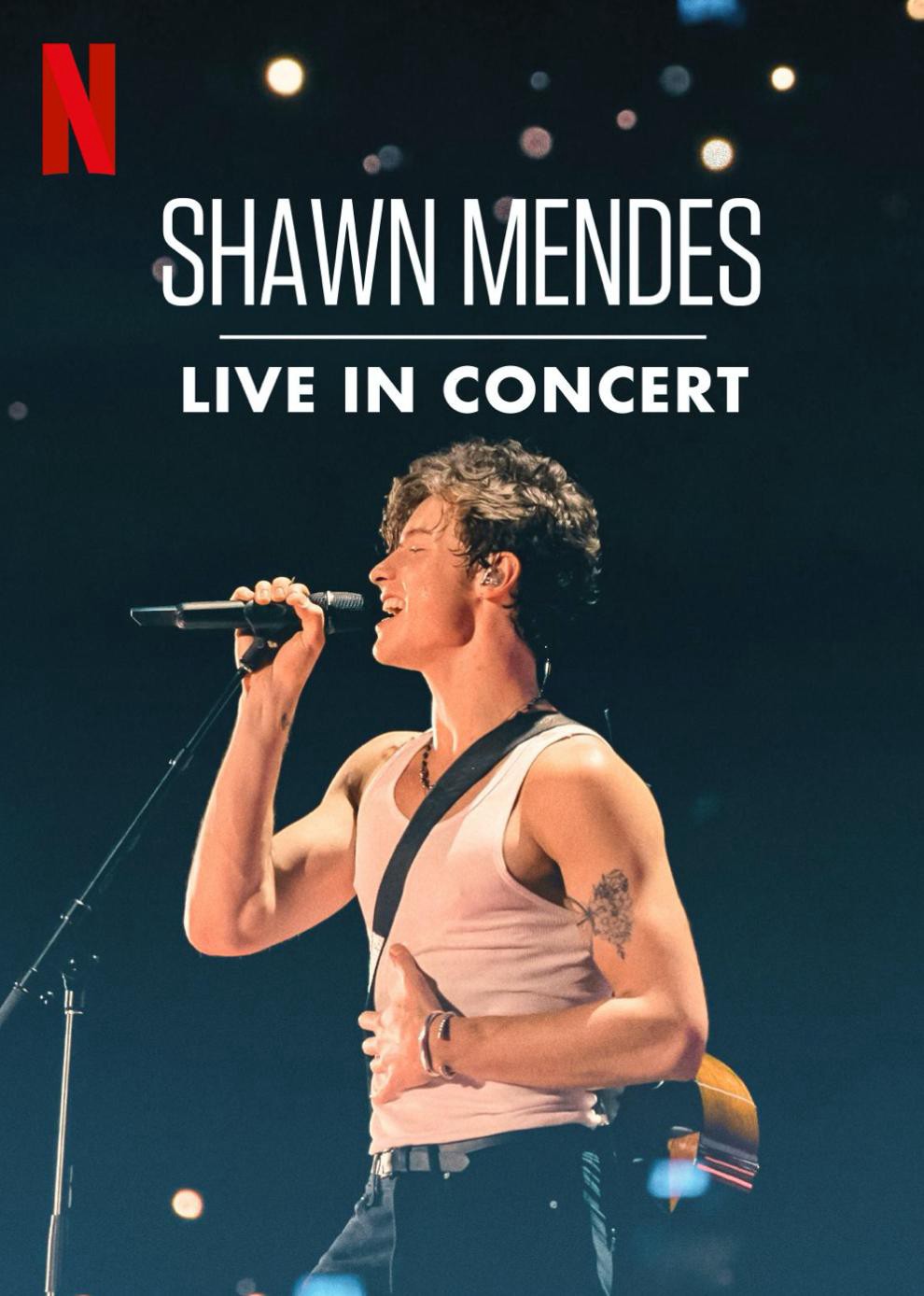 Shawn Mendes: Trực tiếp tại buổi hòa nhạc - Shawn Mendes: Trực tiếp tại buổi hòa nhạc (2020)