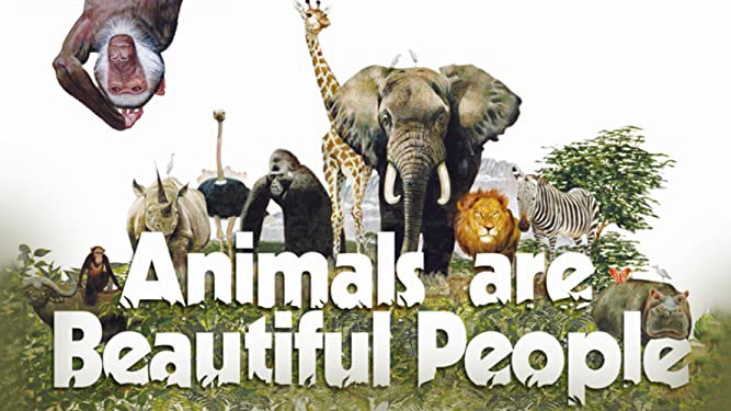 Thế Giới Loài Vật Sống Động - Animals Are Beautiful People