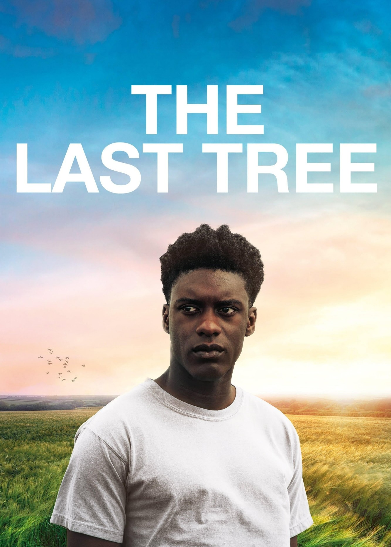 The Last Tree - The Last Tree