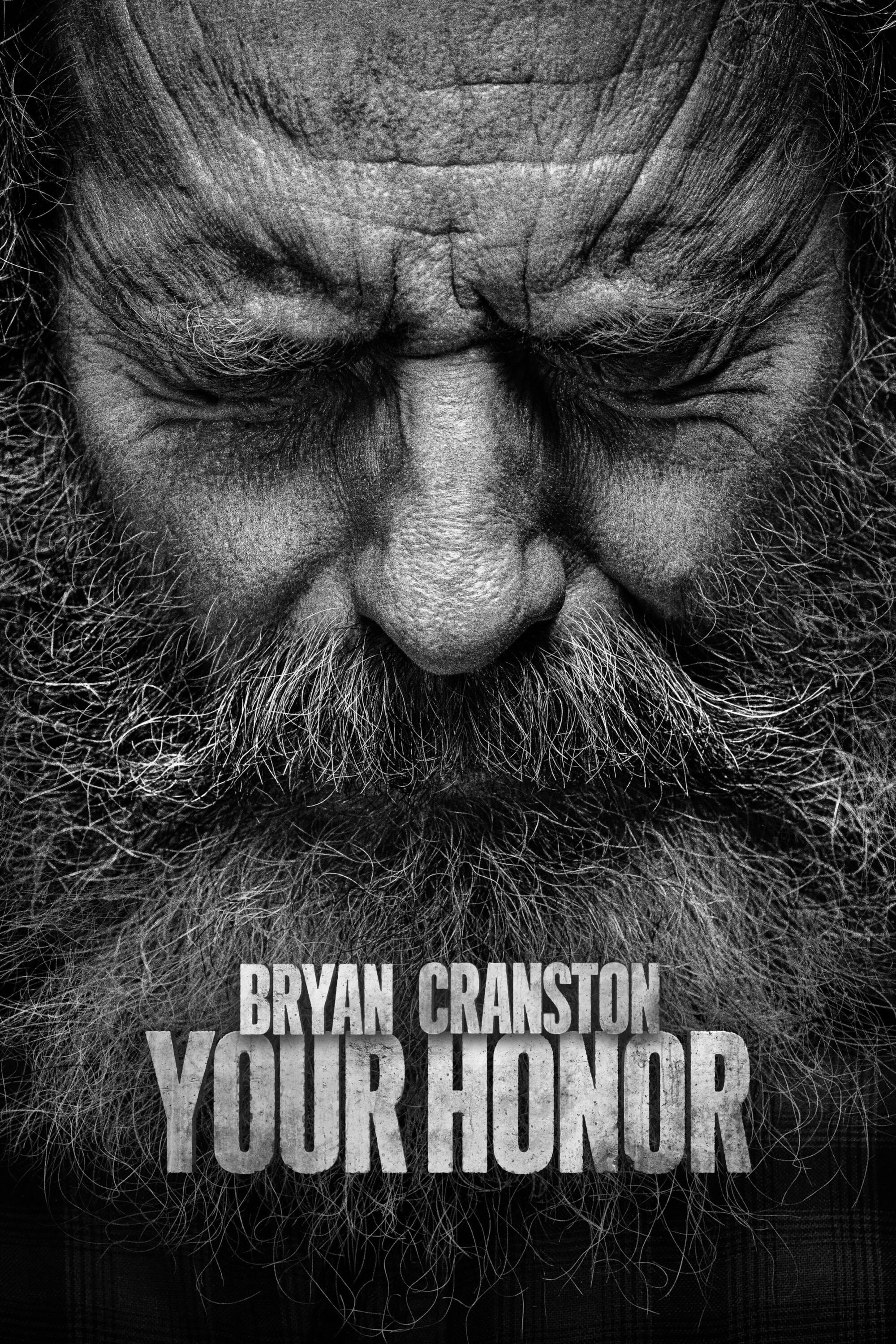 Your Honor (Phần 2) - Your Honor (Phần 2) (2023)
